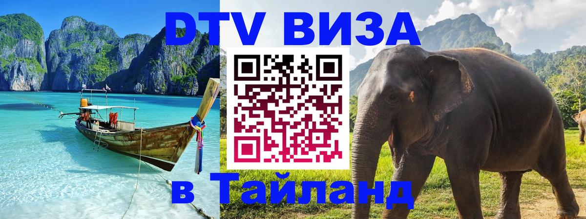 Оформление DTV визы под ключ: стоимость и тарифы, только загранпаспорт - 19.11.2025 